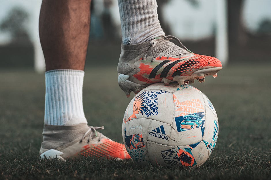 uploads/images/2024/4/20240423121717_pexels-photo-10923070.jpeg_663004f145793.jpg